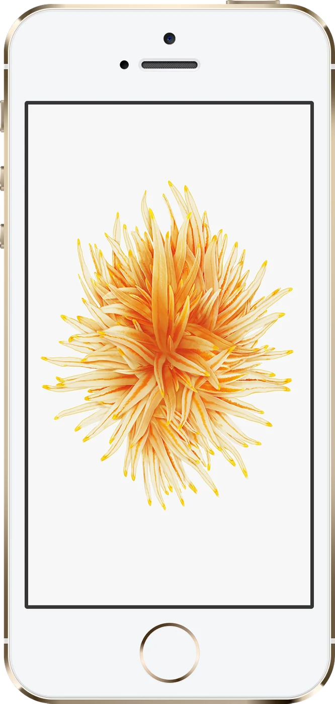 iPhone SE (1st generation) - Occasion
