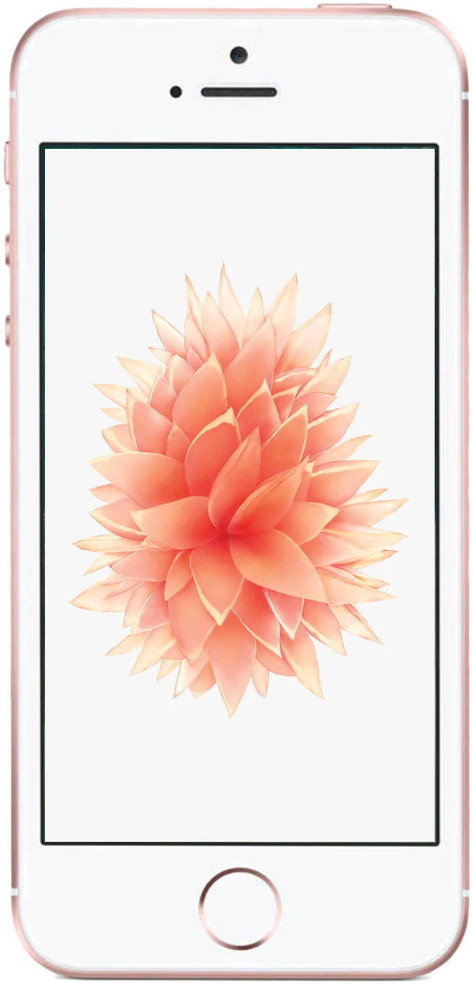 iPhone SE (1st generation) - Occasion