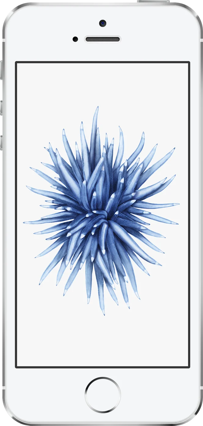 iPhone SE (1st generation) - Occasion