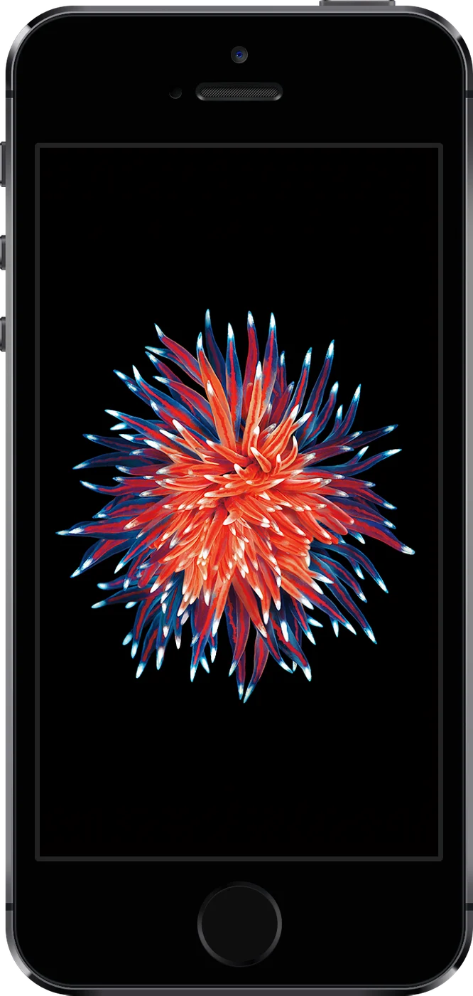 iPhone SE (1st generation) - Occasion