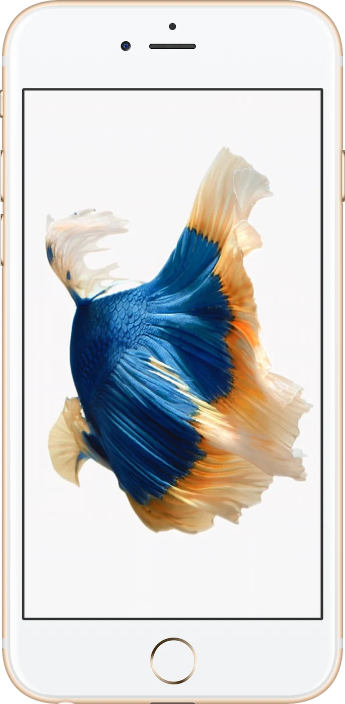 iPhone 6s Plus - Occasion