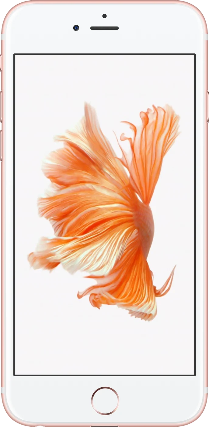 iPhone 6s Plus - Occasion