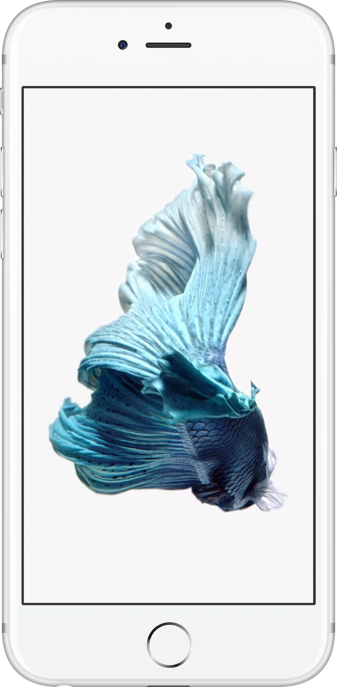 iPhone 6s Plus - Occasion
