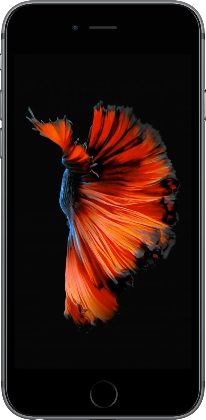 iPhone 6s Plus - Occasion