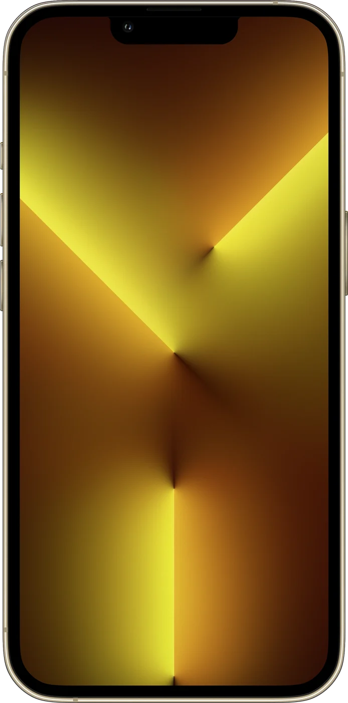 iPhone 13 Pro - Occasion