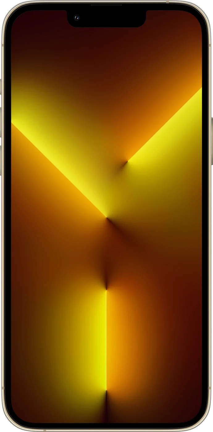 iPhone 13 Pro Max - Occasion