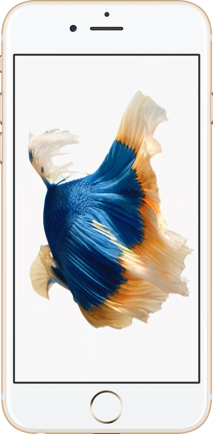 iPhone 6s - Occasion
