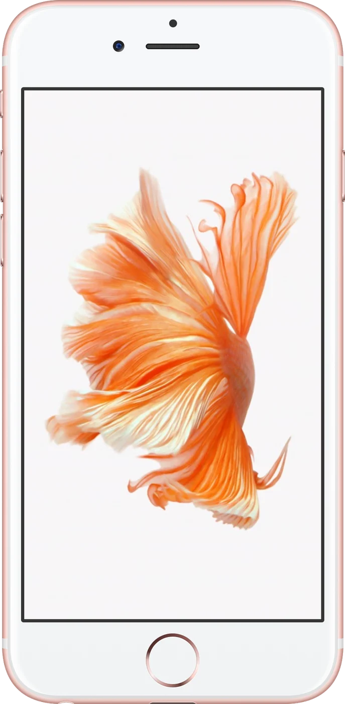iPhone 6s - Occasion