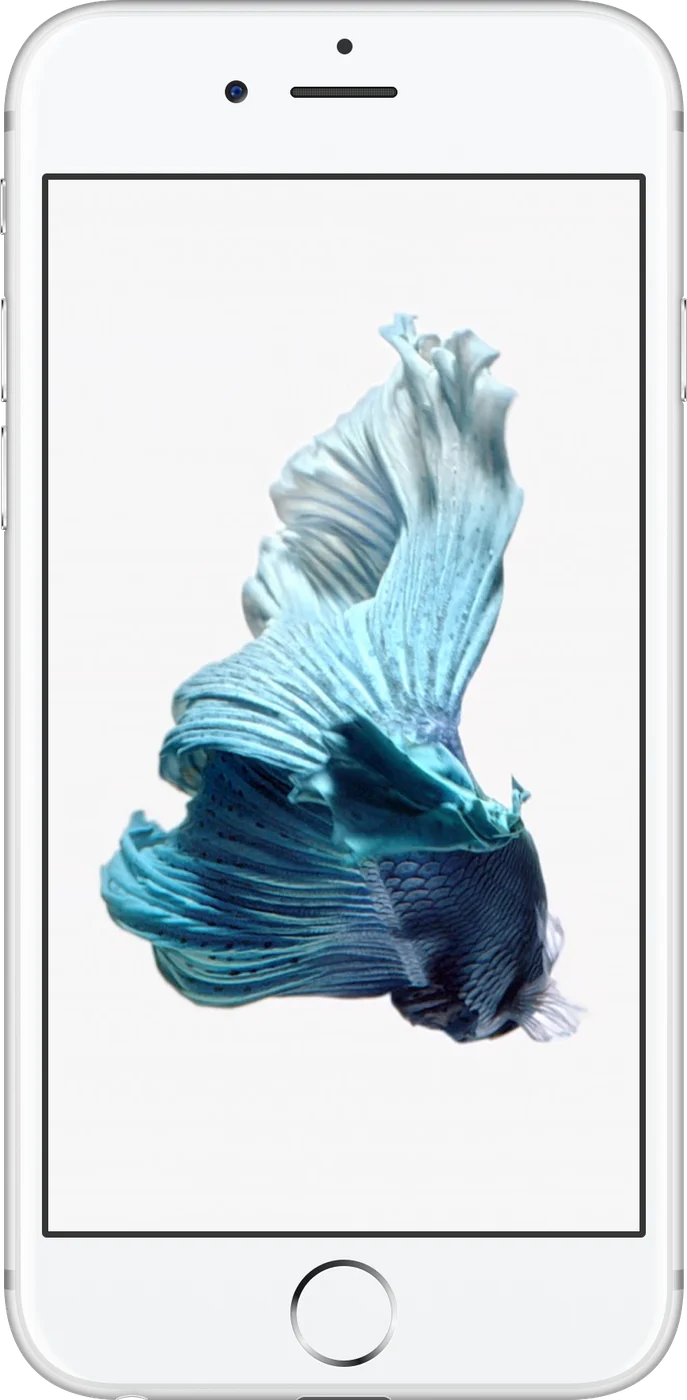 iPhone 6s - Occasion