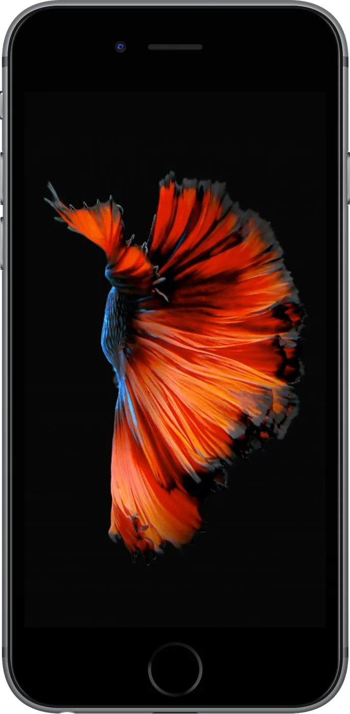 iPhone 6s - Occasion