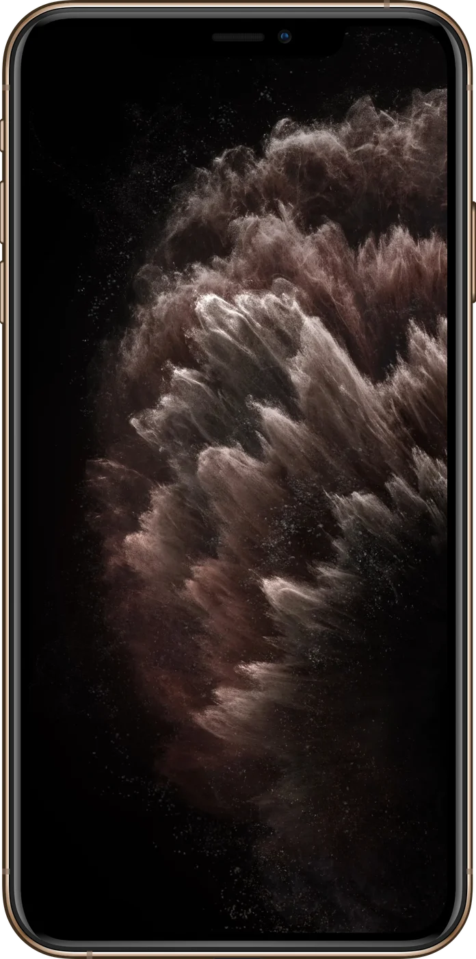iPhone 11 Pro Max - Occasion