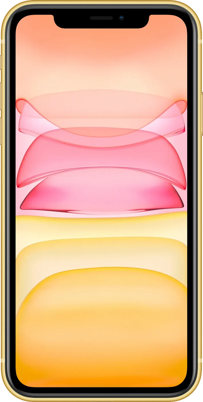 iPhone 11 - Occasion