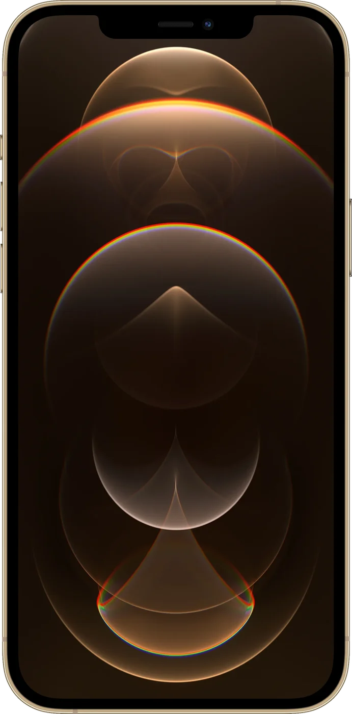 iPhone 12 Pro Max - Occasion