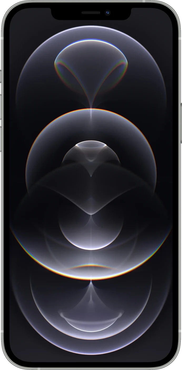 iPhone 12 Pro Max - Occasion